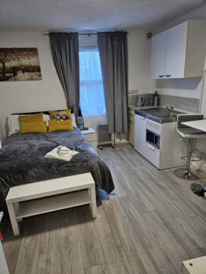 Small and compact Studio Flat Great connection London